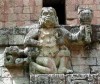 copan_gibur2