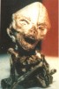 ETCadaver