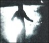 Venusiana