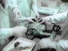alienkremlinautopsy