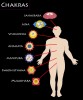 chakras-mapa-gnosisonline