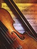 violino