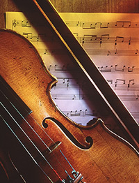 violino