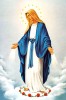 inmaculada-gnosisonline