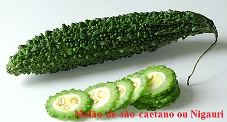 nigauri-melao-de-sao-caetano-gnosisonline