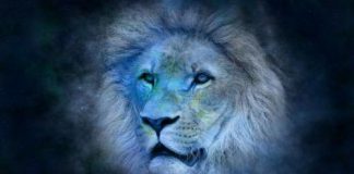 Leão – De 23 de julho a 22 de agosto