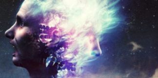 A busca da nossa realidade