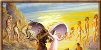 A Roda da Vida que une humanos e elementais