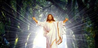 O camarada vestido de branco