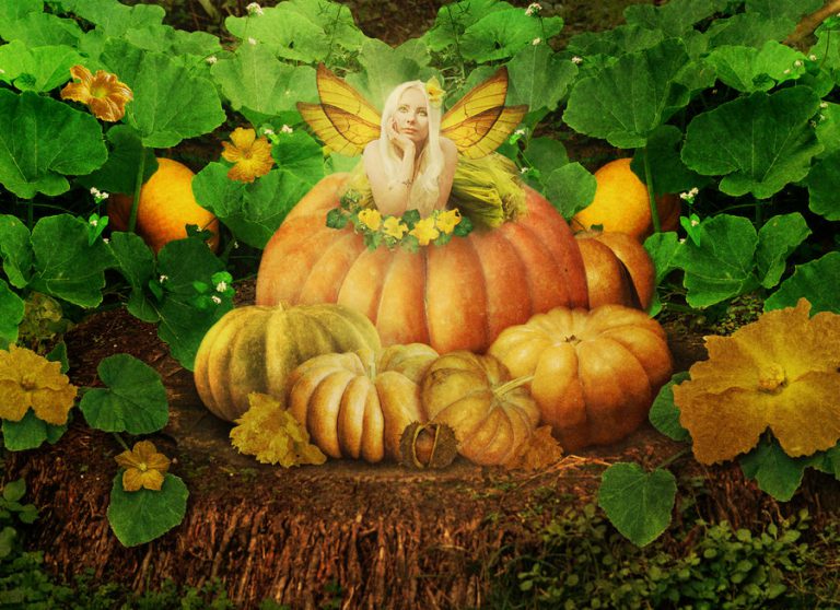 Halloween – A magia da aboboreira