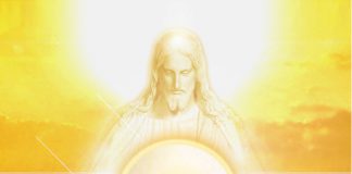 Os 7 corpos: Anatomia oculta do homem