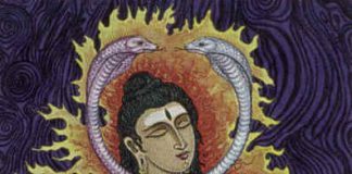 A ciência do pranayama