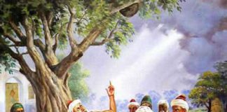 Sufis ensinam que Deus criou o homem com a música