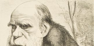 A falsa ciência ortodoxa