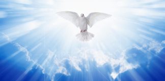 A paz e a lei do Trogo