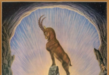 Capricórnio – De 22 de dezembro a 19 de janeiro