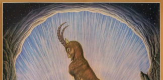 Capricórnio – De 22 de dezembro a 19 de janeiro