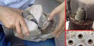 Bobina elétrica de 20 mil anos?