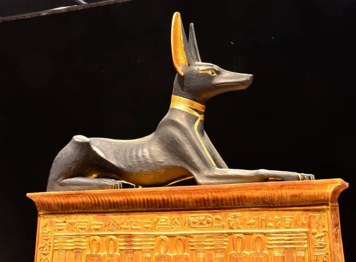 anubis4