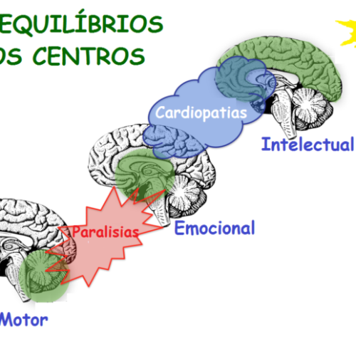 Educação, saúde e os 3 cérebros