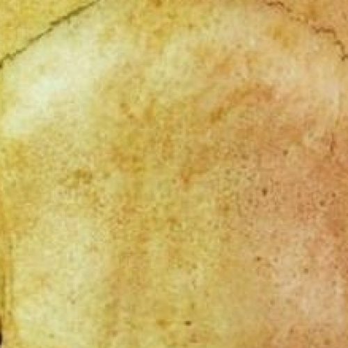 Crânios de ETs, atlantes ou o quê?