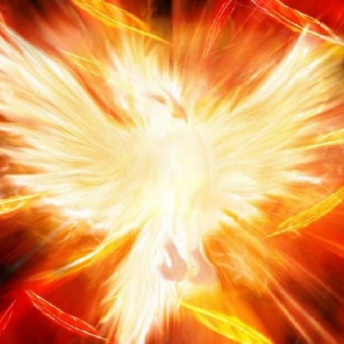 A Ave Fênix – Mito e simbologia