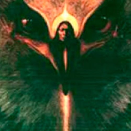 Magia das aves