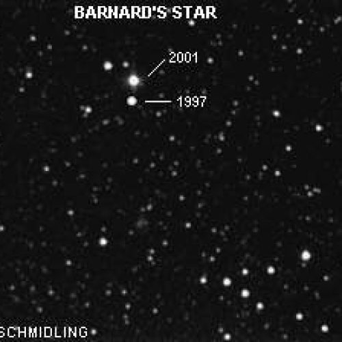 Hercólobus fotografado?