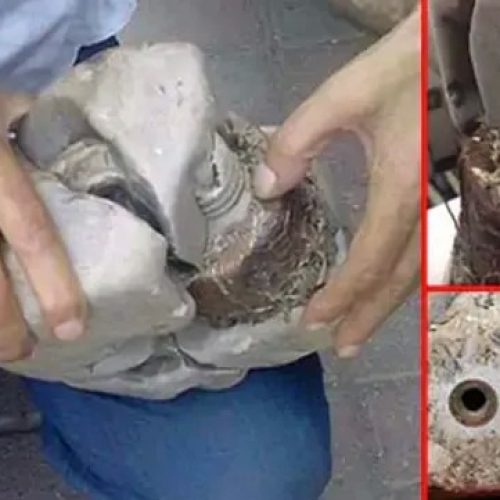 Bobina elétrica de 20 mil anos?