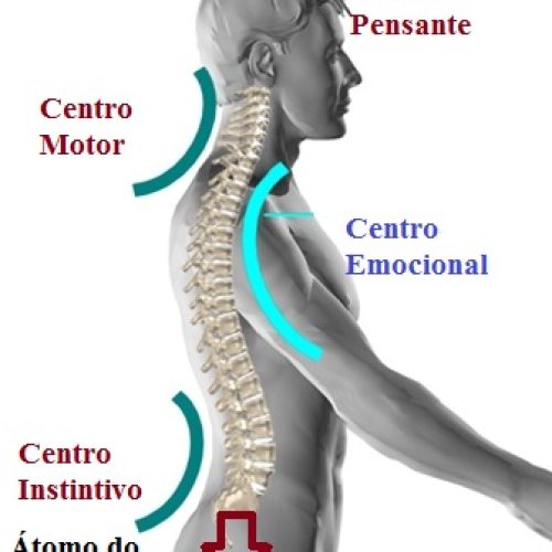 Disfunções no trabalho do Centro Instintivo
