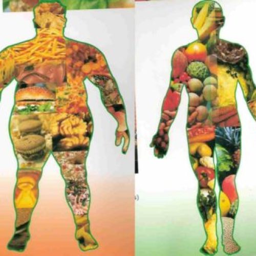 A medicina universal e o corpo físico, por Jorge Adoum