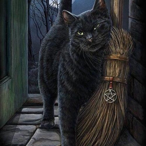 Magia do gato