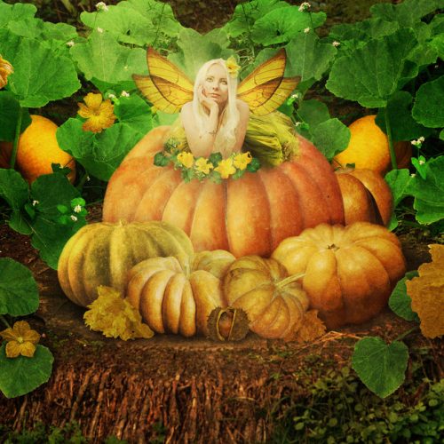 Halloween – A magia da aboboreira
