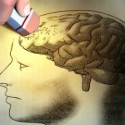 Compreensão, memória e educação
