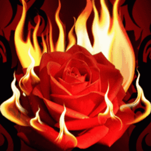 O fogo sexual e a espiritualidade