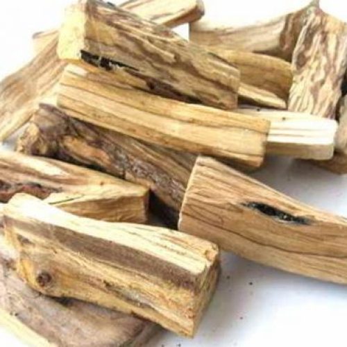 Magia do palo santo ou pau-santo