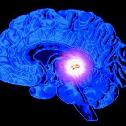 O poder da glândula pineal