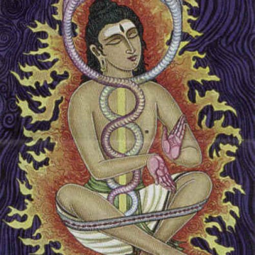 A ciência do pranayama
