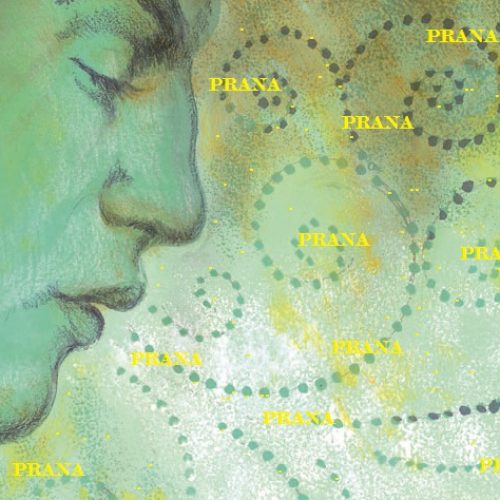 Práticas – Dr. Jorge Adoum