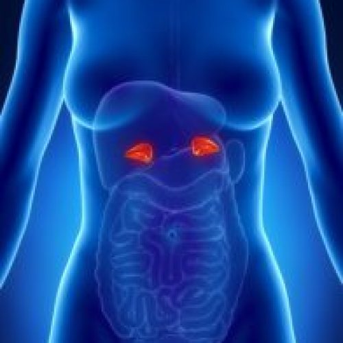 Endocrinologia – Suprarrenais
