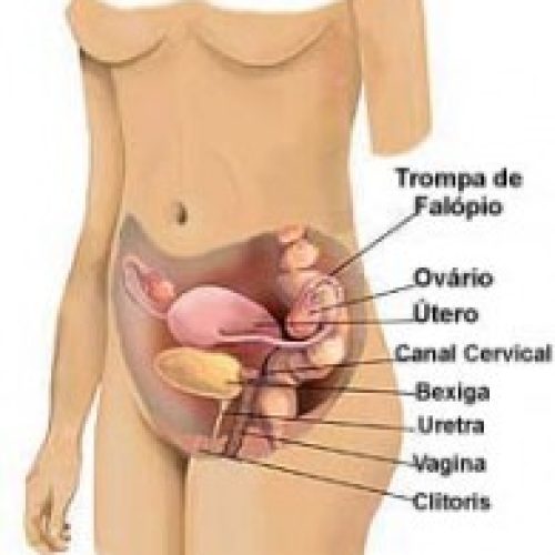 A mulher gnóstica no período menstrual
